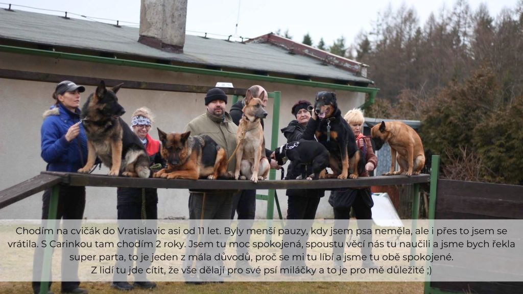 Recenze Cvičák