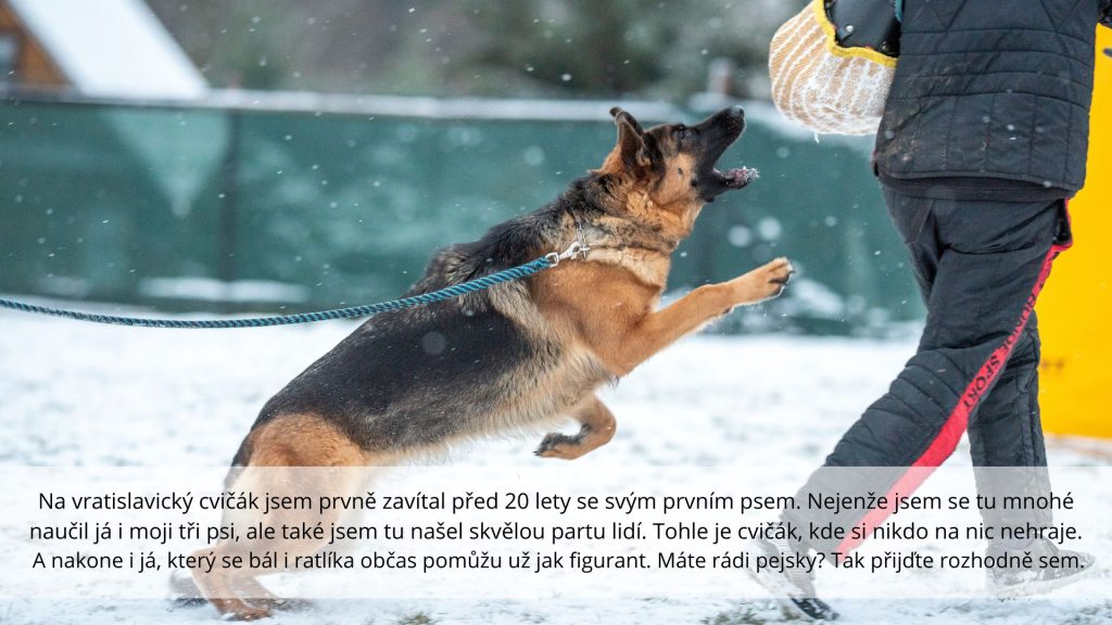 Recenze Cvičák