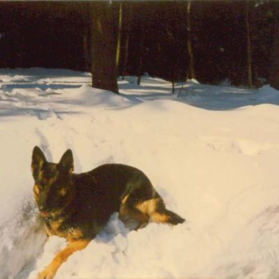 foto21
