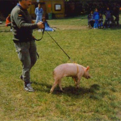 foto44
